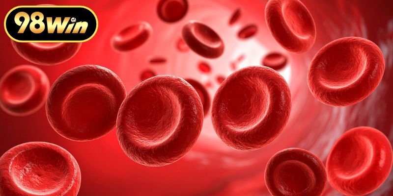 Cách hóa giải vận rủi từ chiêm bao